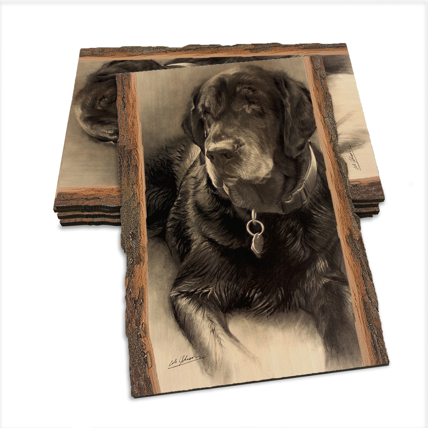 Johnson's Old Lab - Live Edge Live Edge Postcard (5pk // $2.80ea)