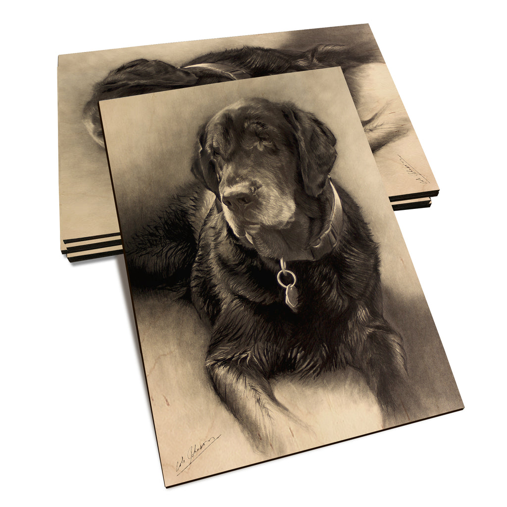 Johnson's Old Lab - Classic Edge Classic Edge Postcard (5pk // $2.80ea)