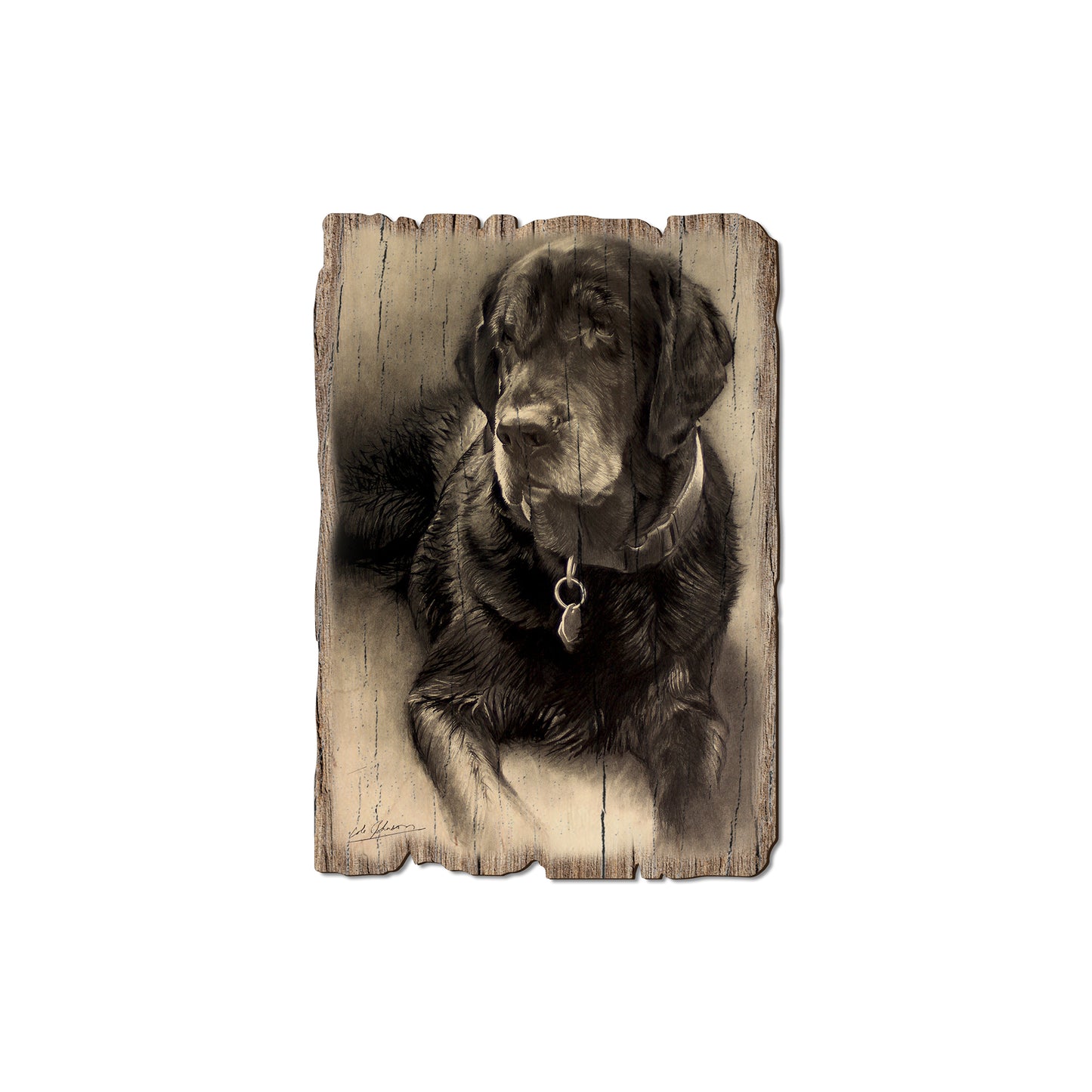 Johnson's Old Lab - Rustic Edge Postcards & Magnets Rustic Edge Magnet (5pk // $2.80ea)