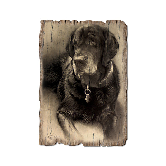 Johnson's Old Lab - Rustic Edge Postcards & Magnets Rustic Edge Postcard (5pk // $2.80ea)