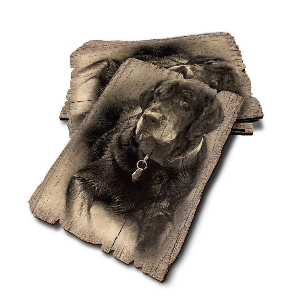 Johnson's Old Lab - Weathered Edge Rustic Edge Postcard (5pk // $2.80ea)