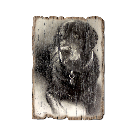Greeting Card: Weathered Edge - Johnson's Old Lab