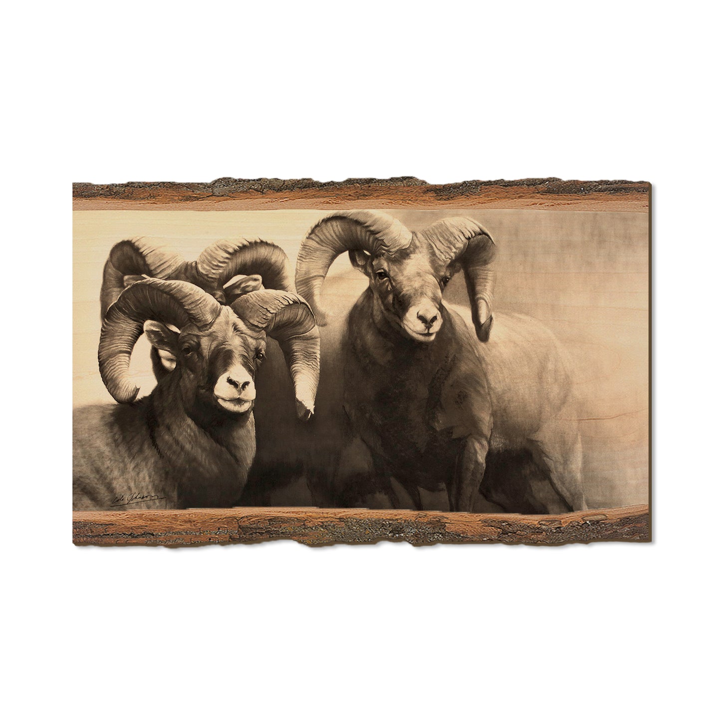 Johnson's On the Rocks - Live Edge Live Edge Magnet (5pk // $2.80ea)