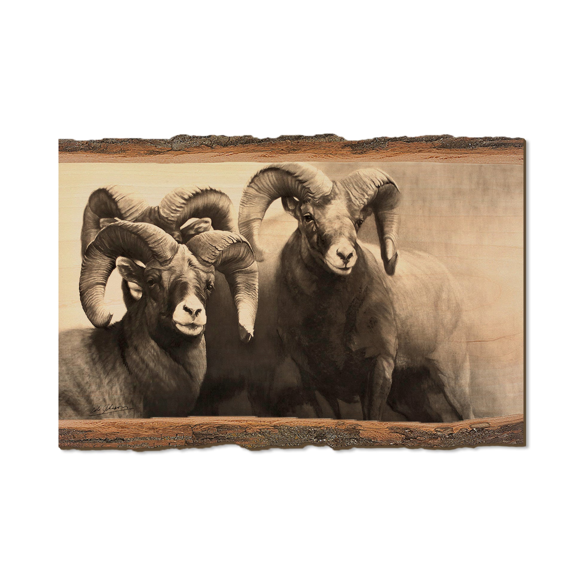 Johnson's On the Rocks - Live Edge Live Edge Postcard (5pk // $2.80ea)