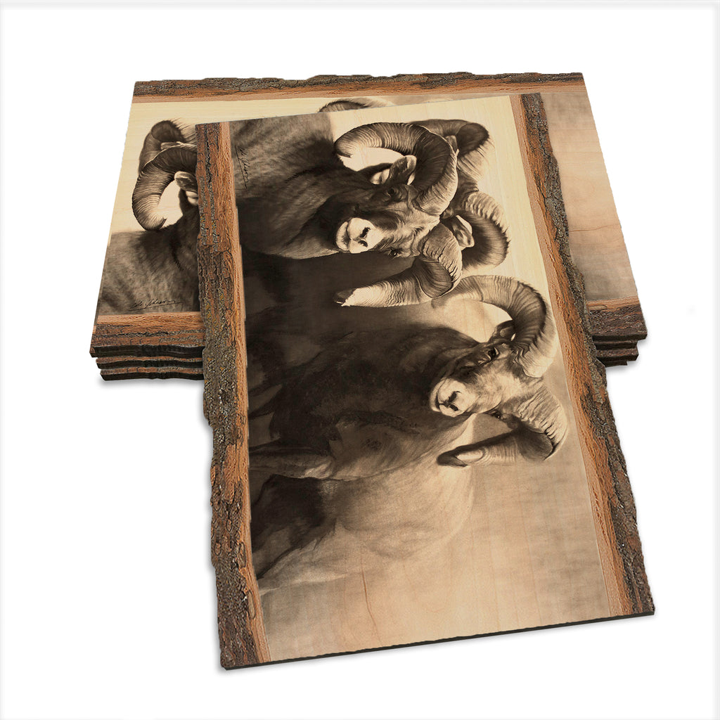 Johnson's On the Rocks - Live Edge Live Edge Postcard (5pk // $2.80ea)