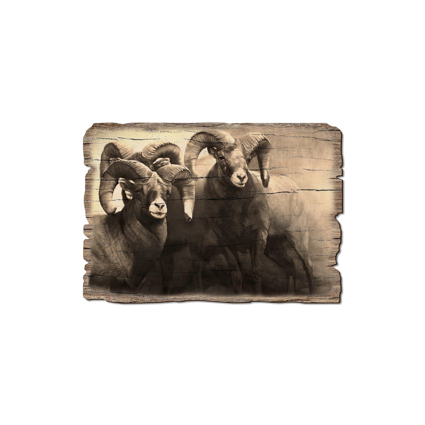 Johnson's On The Rocks - Rustic Edge Postcards & Magnets Rustic Edge Magnet (5pk // $2.80ea)