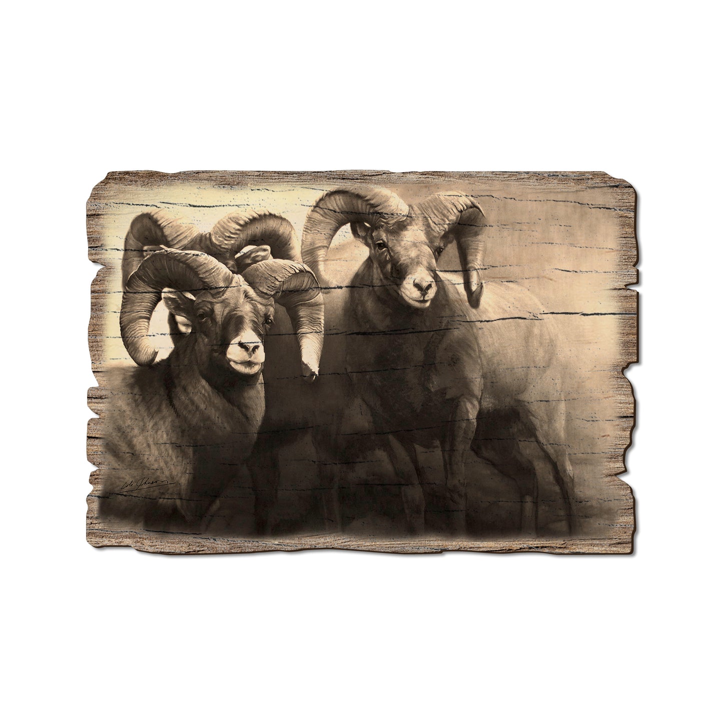 Johnson's On The Rocks - Rustic Edge Postcards & Magnets Rustic Edge Postcard (5pk // $2.80ea)