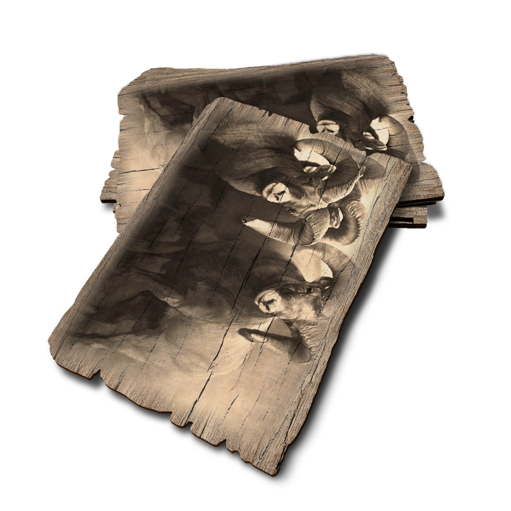 Johnson's On The Rocks - Weathered Edge Rustic Edge Postcard (5pk // $2.80ea)