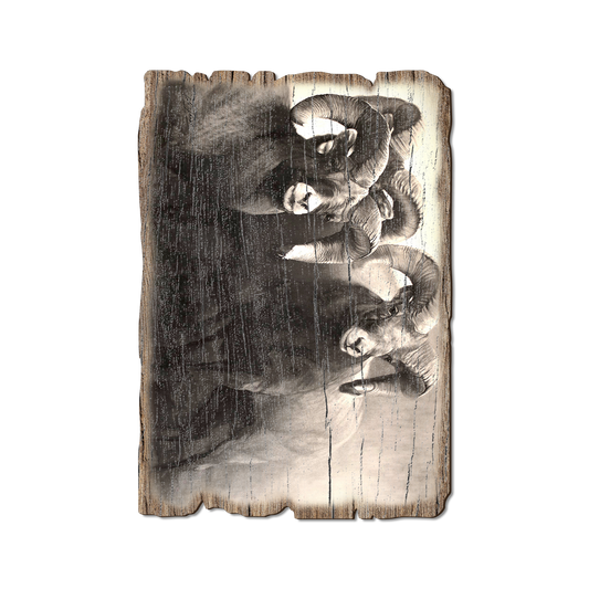 Greeting Card: Weathered Edge - Johnson's On the Rocks
