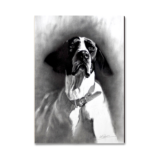 Magnet: Classic Edge - Johnson's Proud Pointer (Pack of 5)