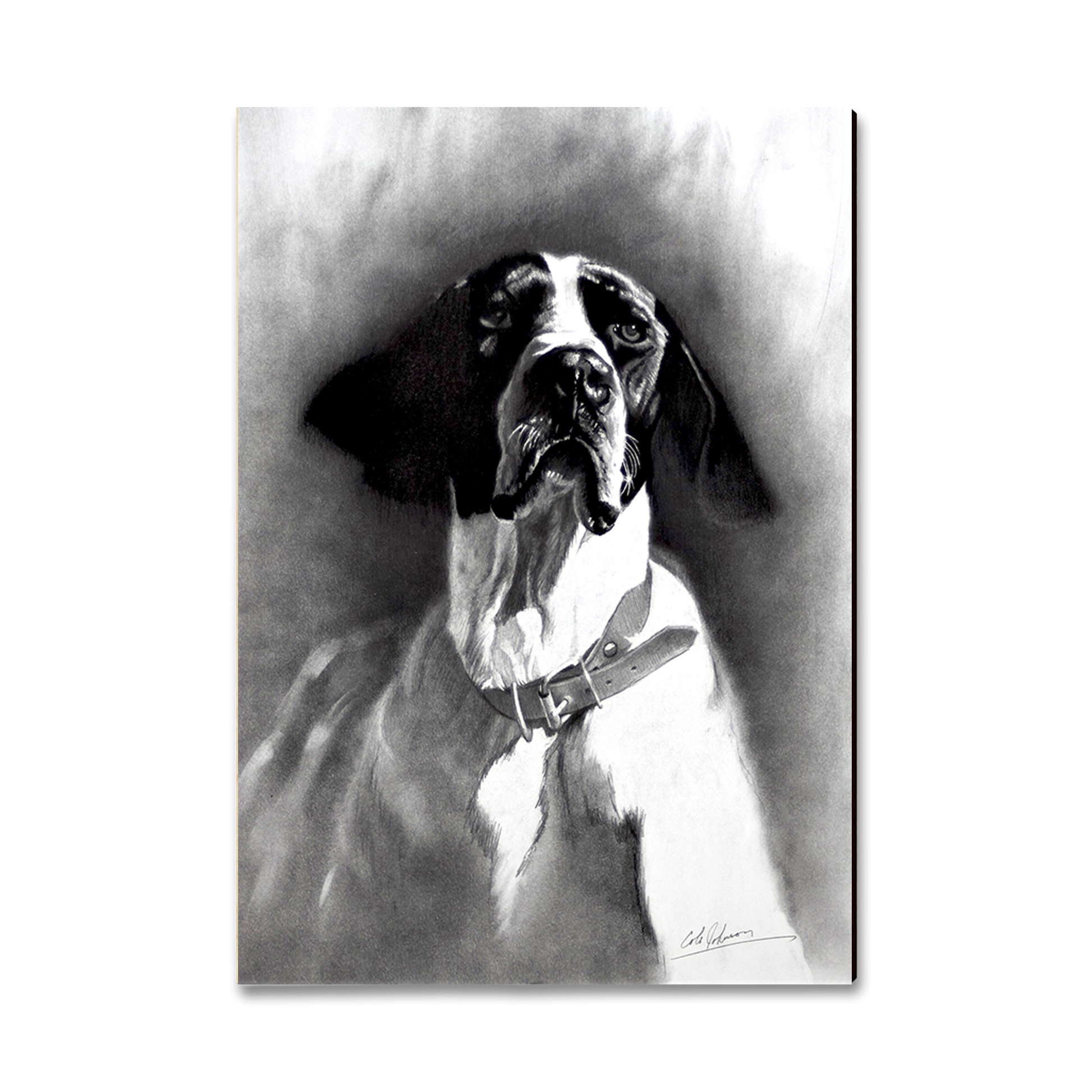 Postcard: Classic Edge - Johnson's Proud Pointer (Pack of 5)