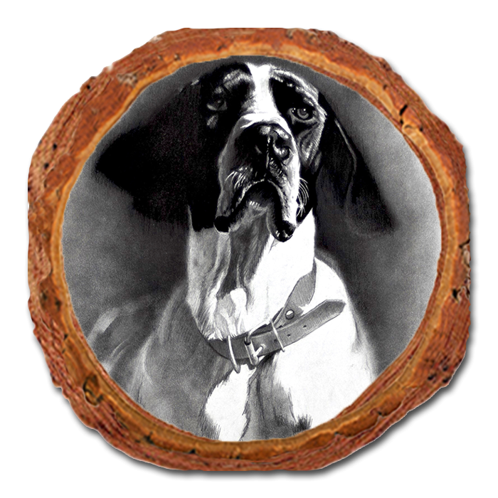 Coaster: Live Edge - Johnson's Proud Pointer (Pack of 5)