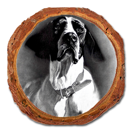 Coaster: Live Edge - Johnson's Proud Pointer (Pack of 5)
