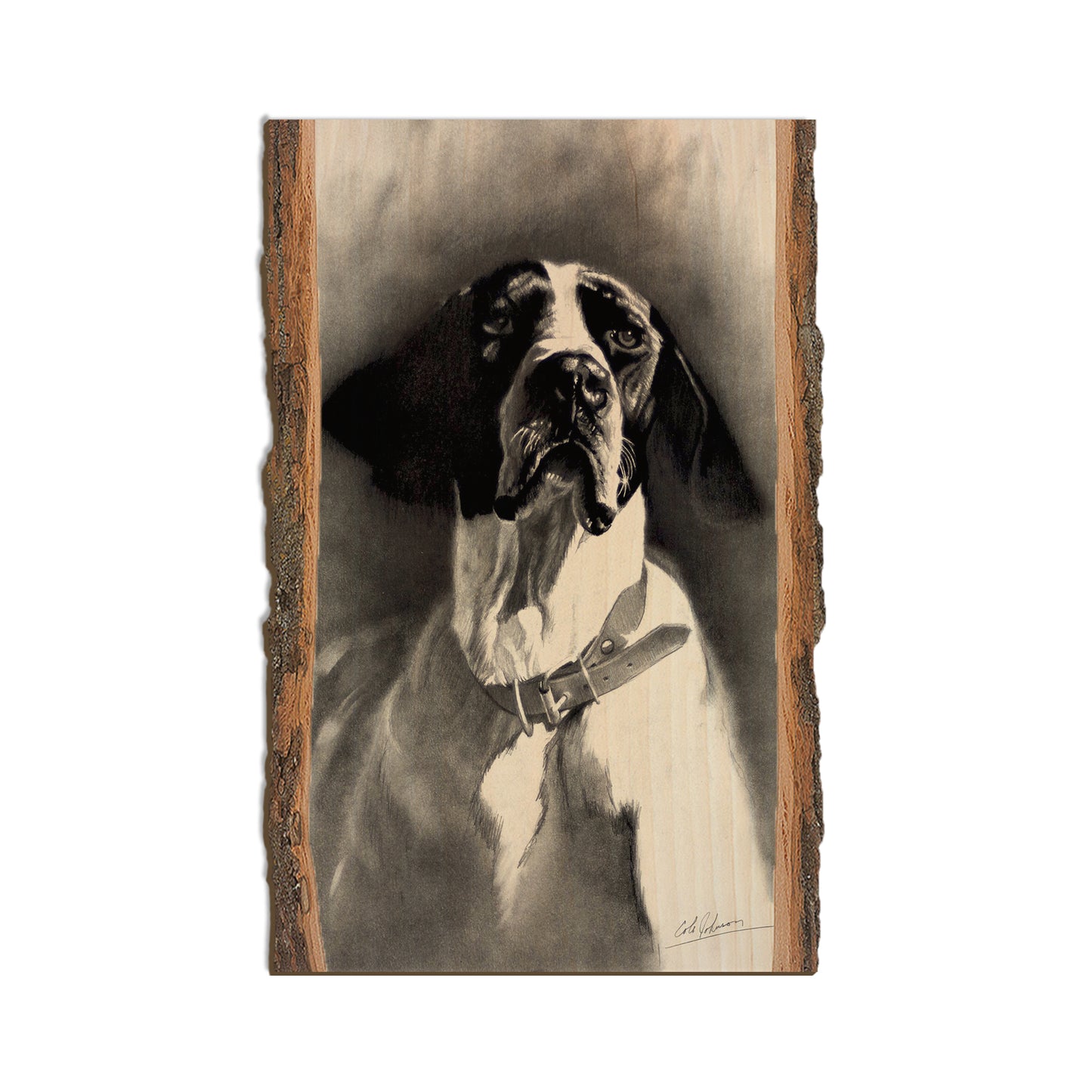Johnson's Proud Pointer - Live Edge Live Edge Magnet (5pk // $2.80ea)