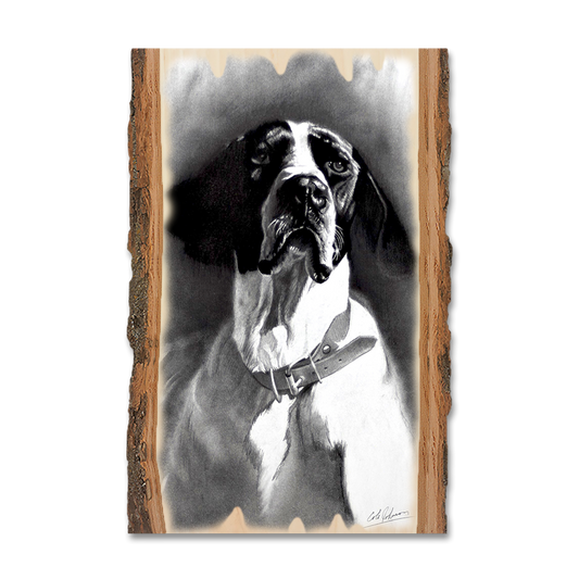 Magnet: Live Edge - Johnson's Proud Pointer