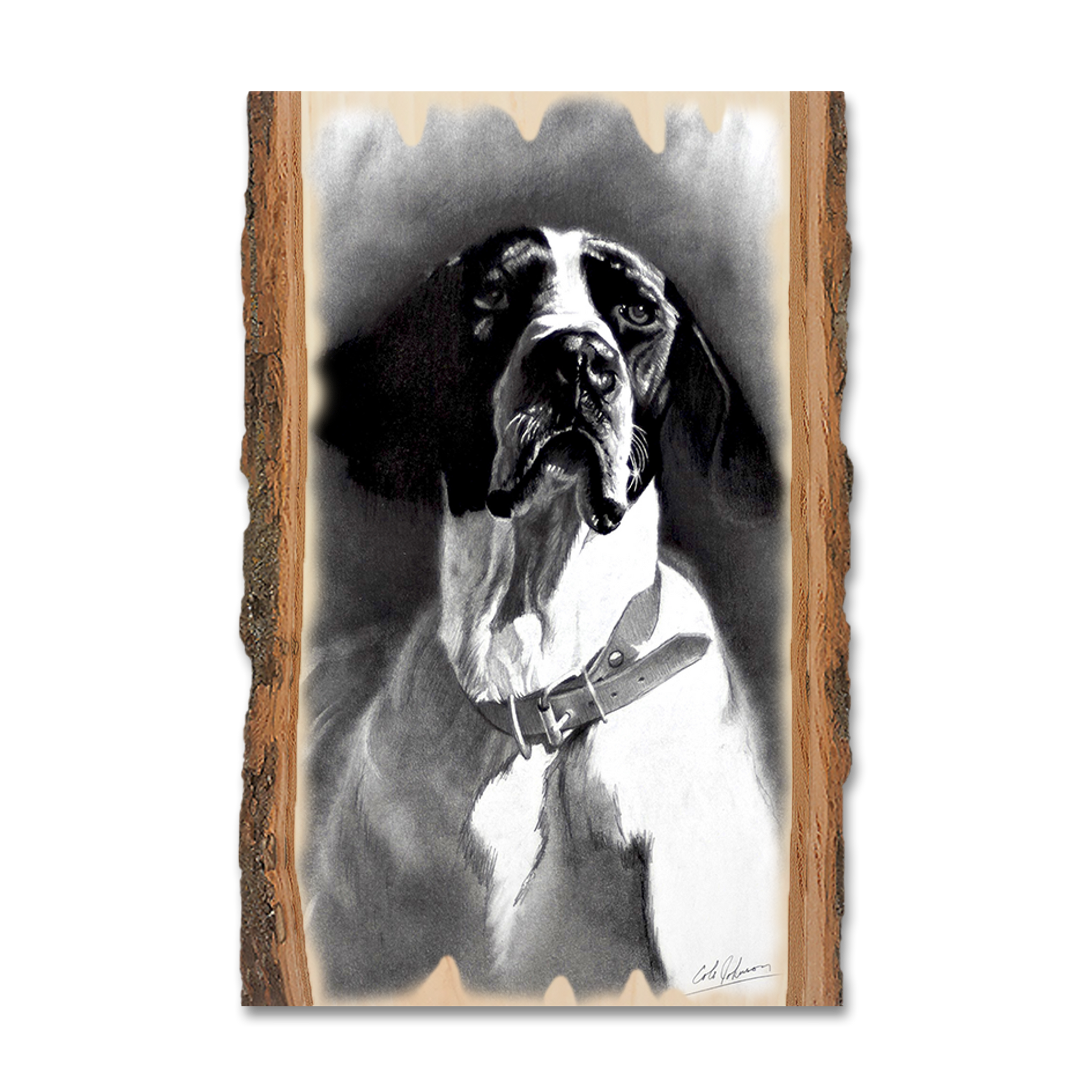 Ornament: Live Edge - Johnson's Proud Pointer
