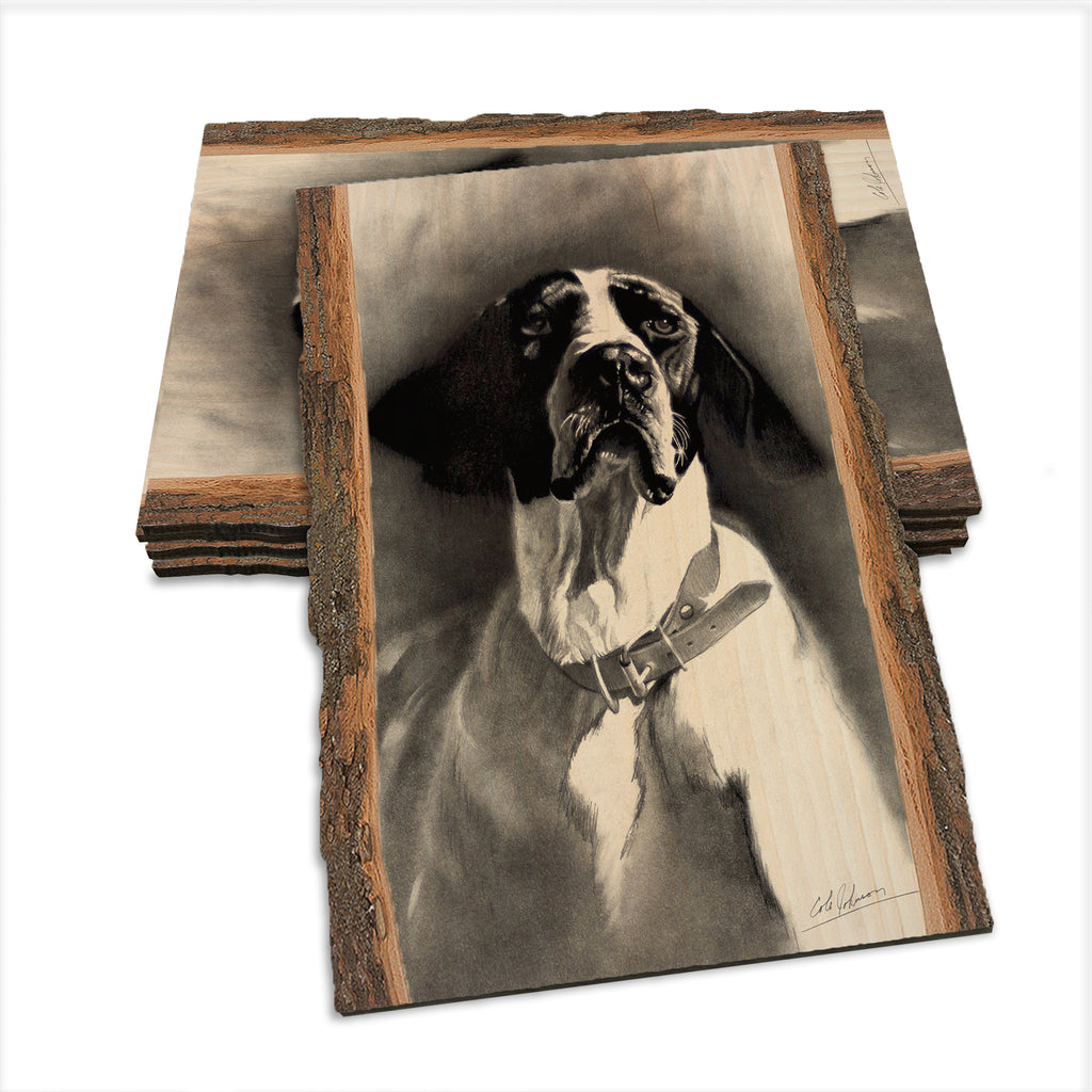 Johnson's Proud Pointer - Live Edge Live Edge Postcard (5pk // $2.80ea)