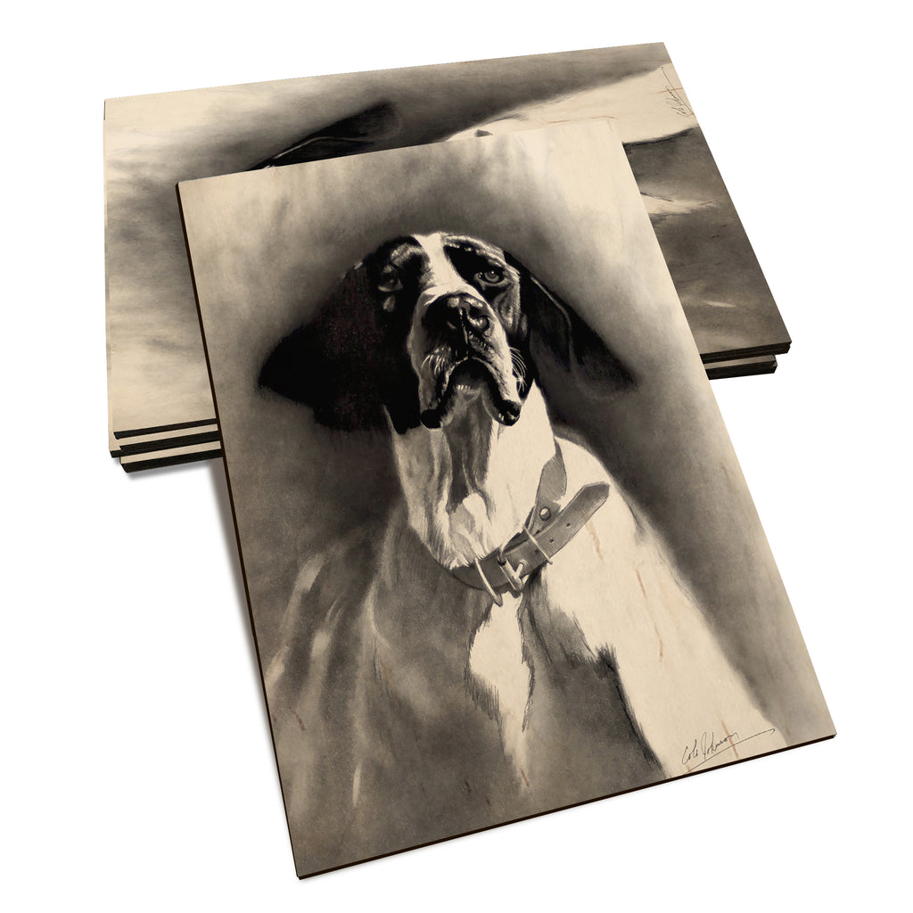 Johnson's Proud Pointer - Classic Edge Classic Edge Postcard (5pk // $2.80ea)