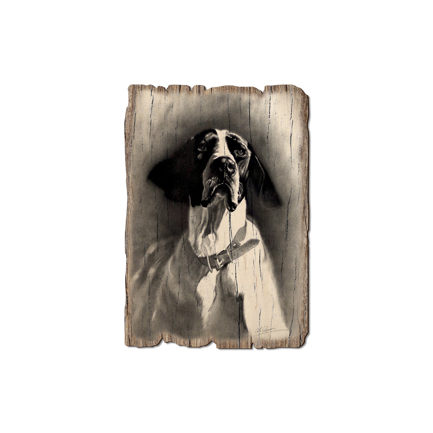Johnson's Proud Pointer - Rustic Edge Postcards & Magnets Rustic Edge Magnet (5pk // $2.80ea)