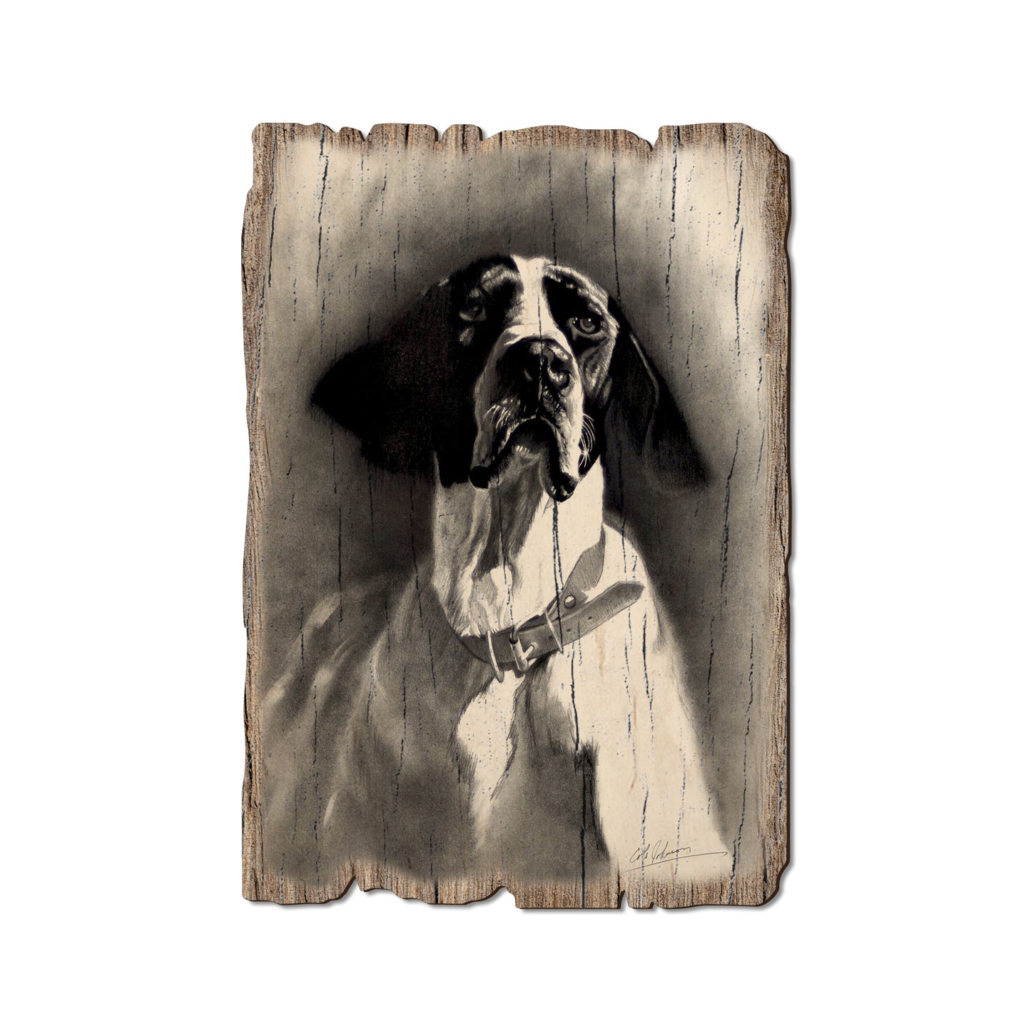 Johnson's Proud Pointer - Rustic Edge Postcards & Magnets Rustic Edge Postcard (5pk // $2.80ea)
