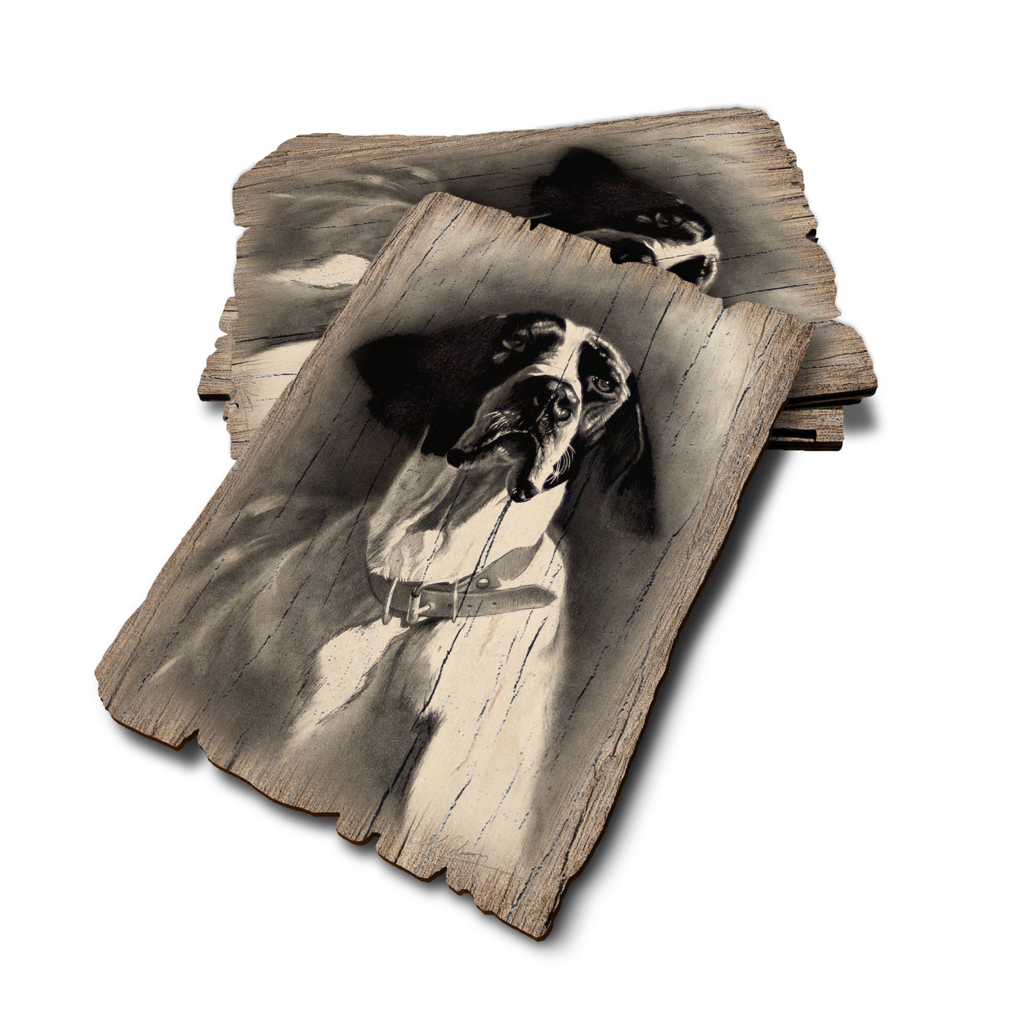 Johnson's Proud Pointer - Weathered Edge Rustic Edge Postcard (5pk // $2.80ea)