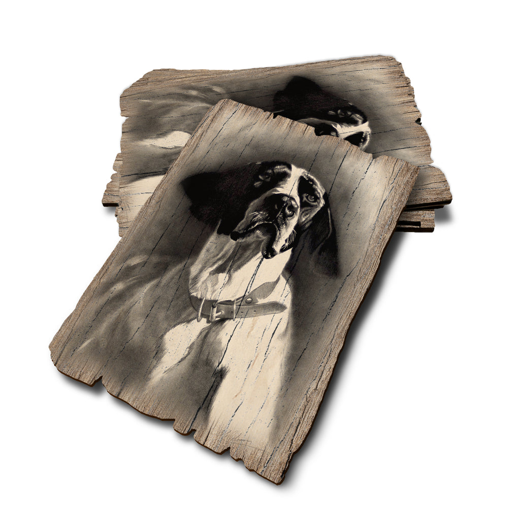 Johnson's Proud Pointer - Weathered Edge Rustic Edge Postcard (5pk // $2.80ea)