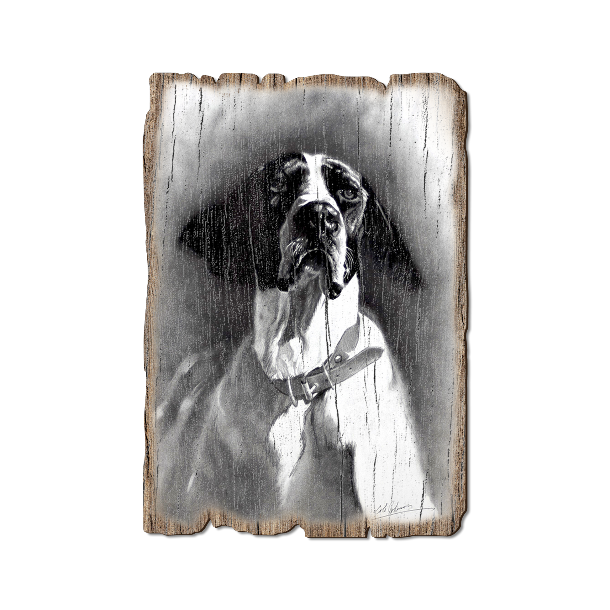 Greeting Card: Weathered Edge - Johnson's Proud Pointer