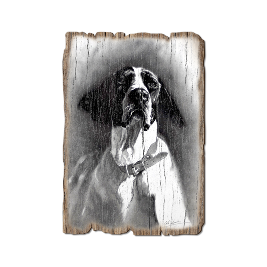 Greeting Card: Weathered Edge - Johnson's Proud Pointer
