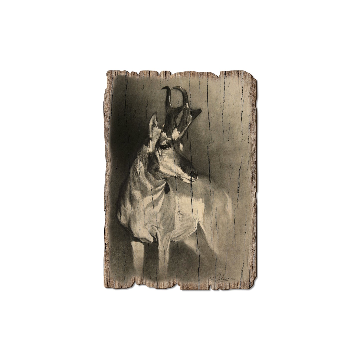 Johnson's Perfect Pronghorn - Rustic Edge Postcards & Magnets Rustic Edge Magnet (5pk // $2.80ea)