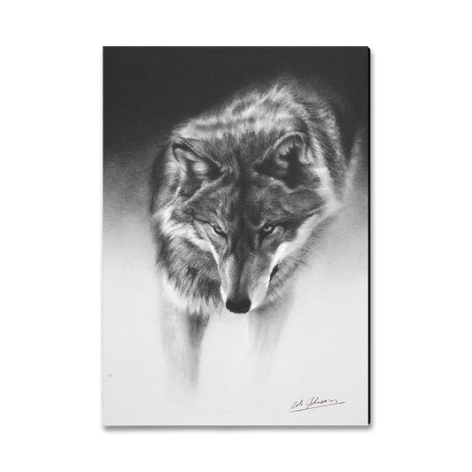 Greeting Card: Classic Edge - Johnson's Prowling Wolf