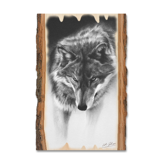Magnet: Live Edge - Johnson's Prowling Wolf (Pack of 5)