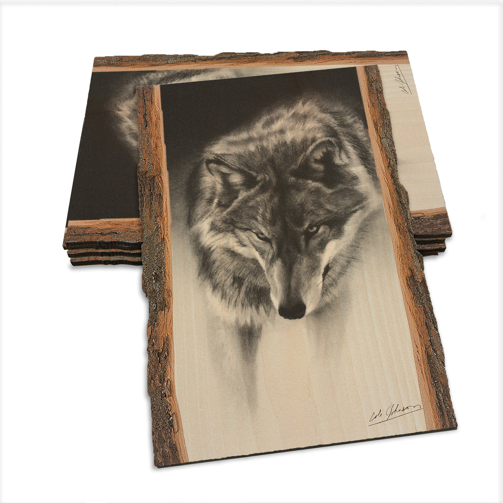 Johnson's Prowling Wolf - Live Edge Live Edge Postcard (5pk // $2.80ea)