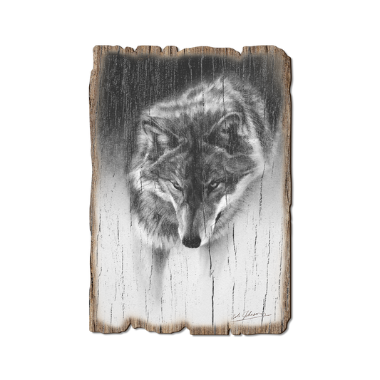Greeting Card: Weathered Edge - Johnson's Prowling Wolf