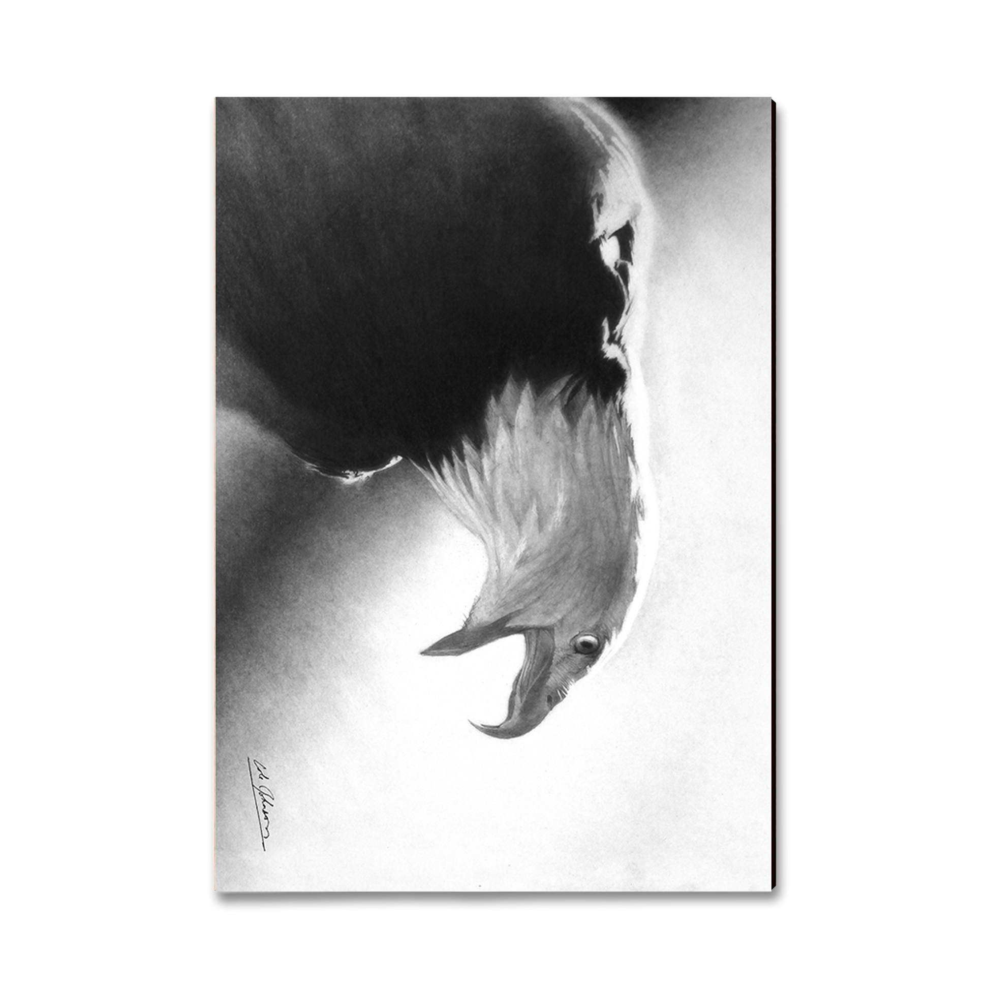 Greeting Card: Classic Edge - Johnson's Screaming Eagle (Pack of 5)