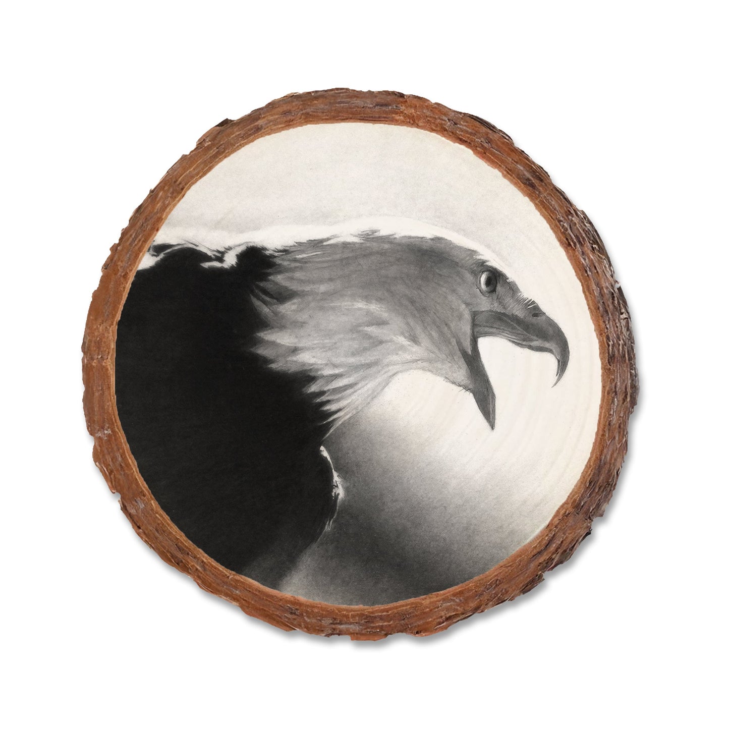 Johnson's Screaming Eagle - Live Edge Live Edge Coaster (5pk // $2.80ea)
