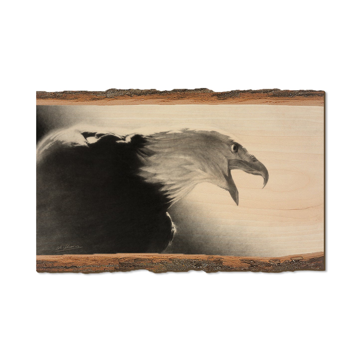 Johnson's Screaming Eagle - Live Edge Live Edge Magnet (5pk // $2.80ea)