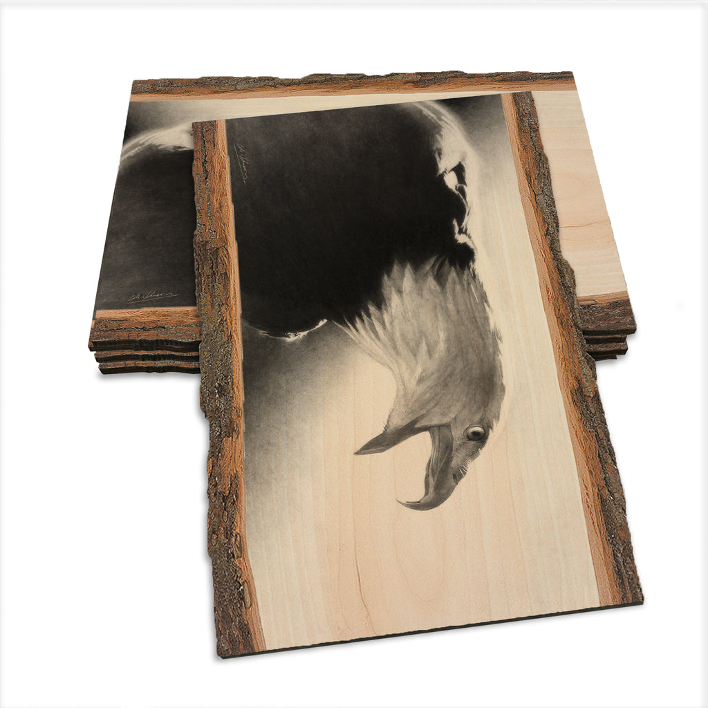 Johnson's Screaming Eagle - Live Edge Live Edge Postcard (5pk // $2.80ea)