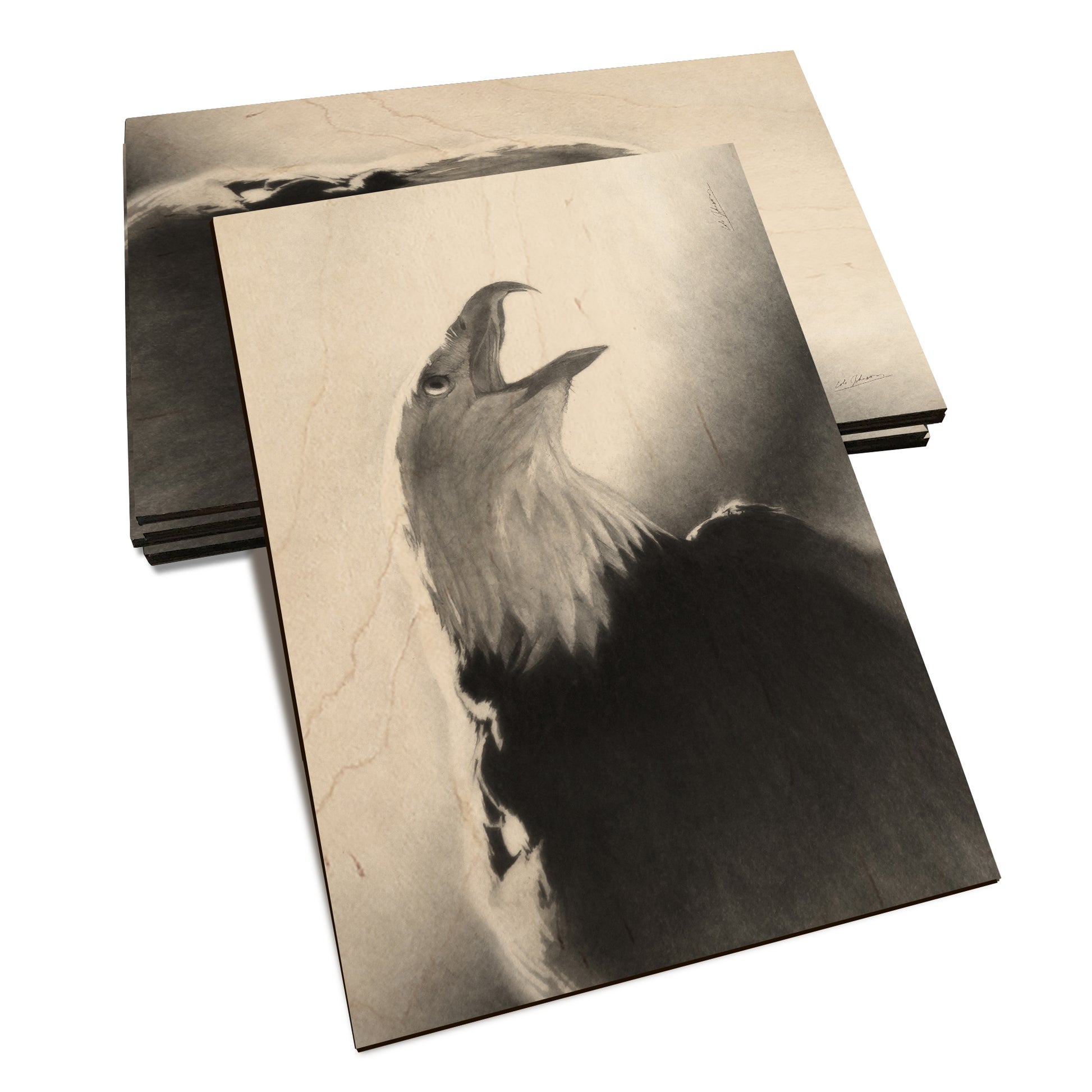 Johnson's Screaming Eagle - Classic Edge Classic Edge Postcard (5pk // $2.80ea)
