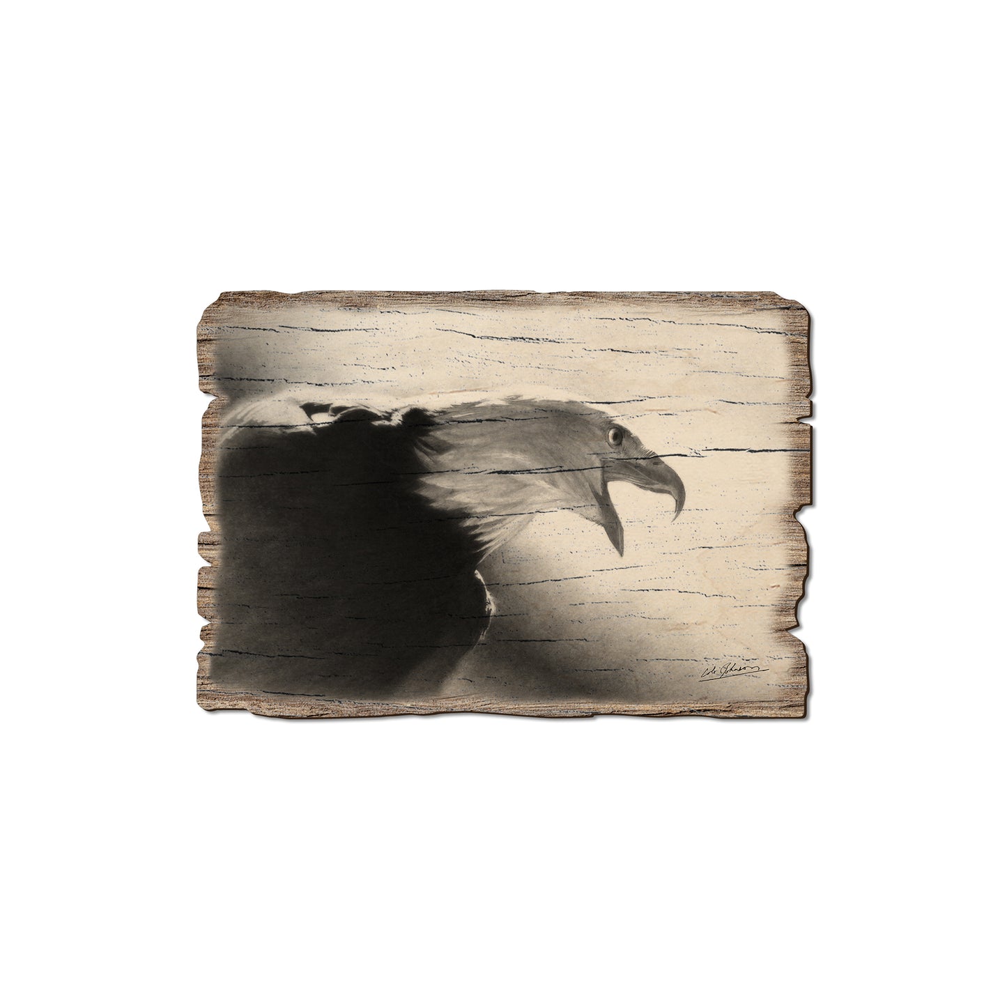 Johnson's Screaming Eagle - Rustic Edge Postcards & Magnets Rustic Edge Magnet (5pk // $2.80ea)