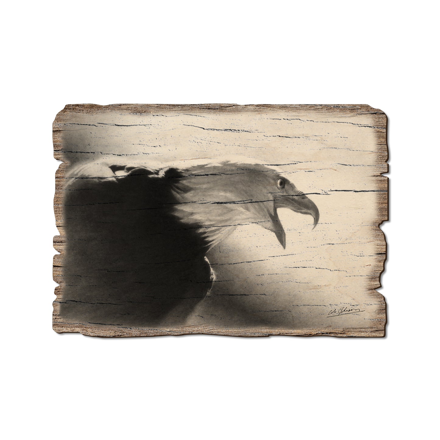 Johnson's Screaming Eagle - Rustic Edge Postcards & Magnets Rustic Edge Postcard (5pk // $2.80ea)
