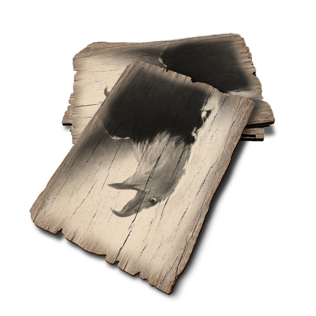 Johnson's Screaming Eagle - Weathered Edge Rustic Edge Postcard (5pk // $2.80ea)