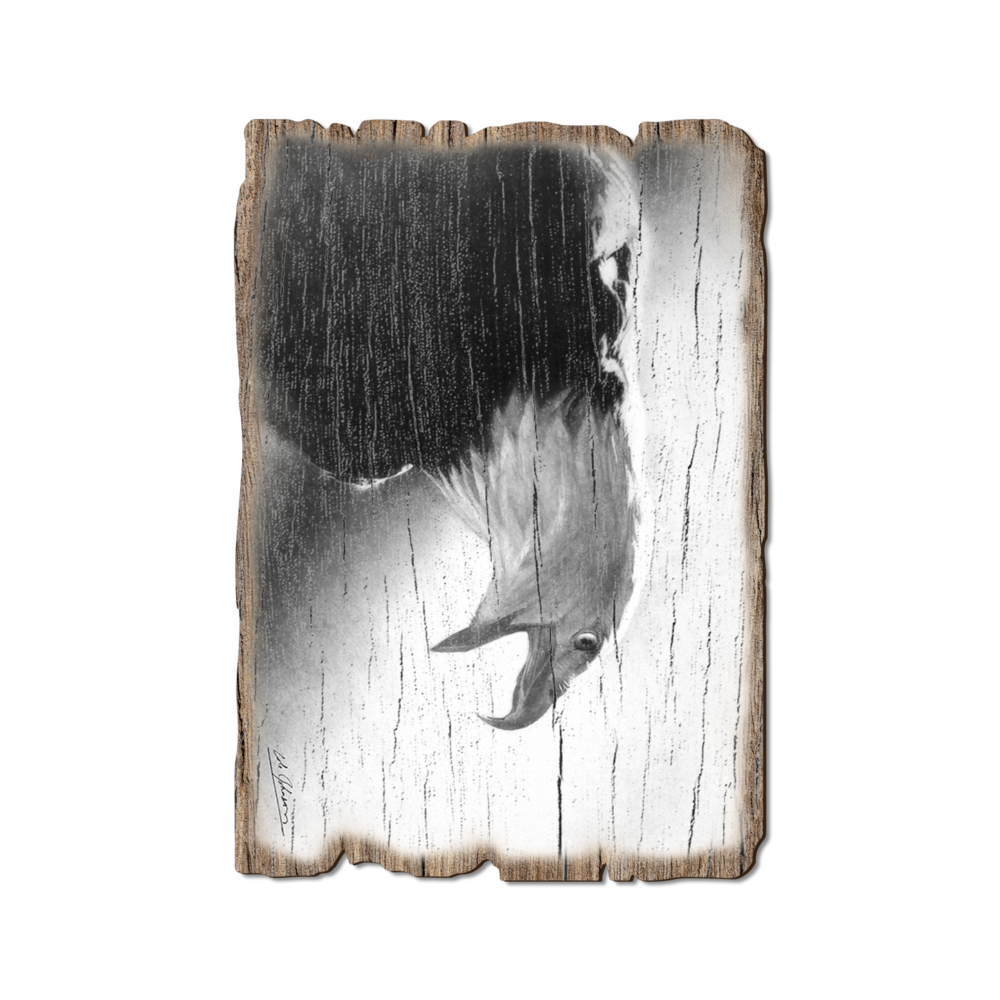 Greeting Card: Weathered Edge - Johnson's Screaming Eagle