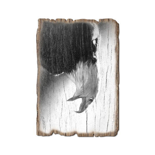 Greeting Card: Weathered Edge - Johnson's Screaming Eagle