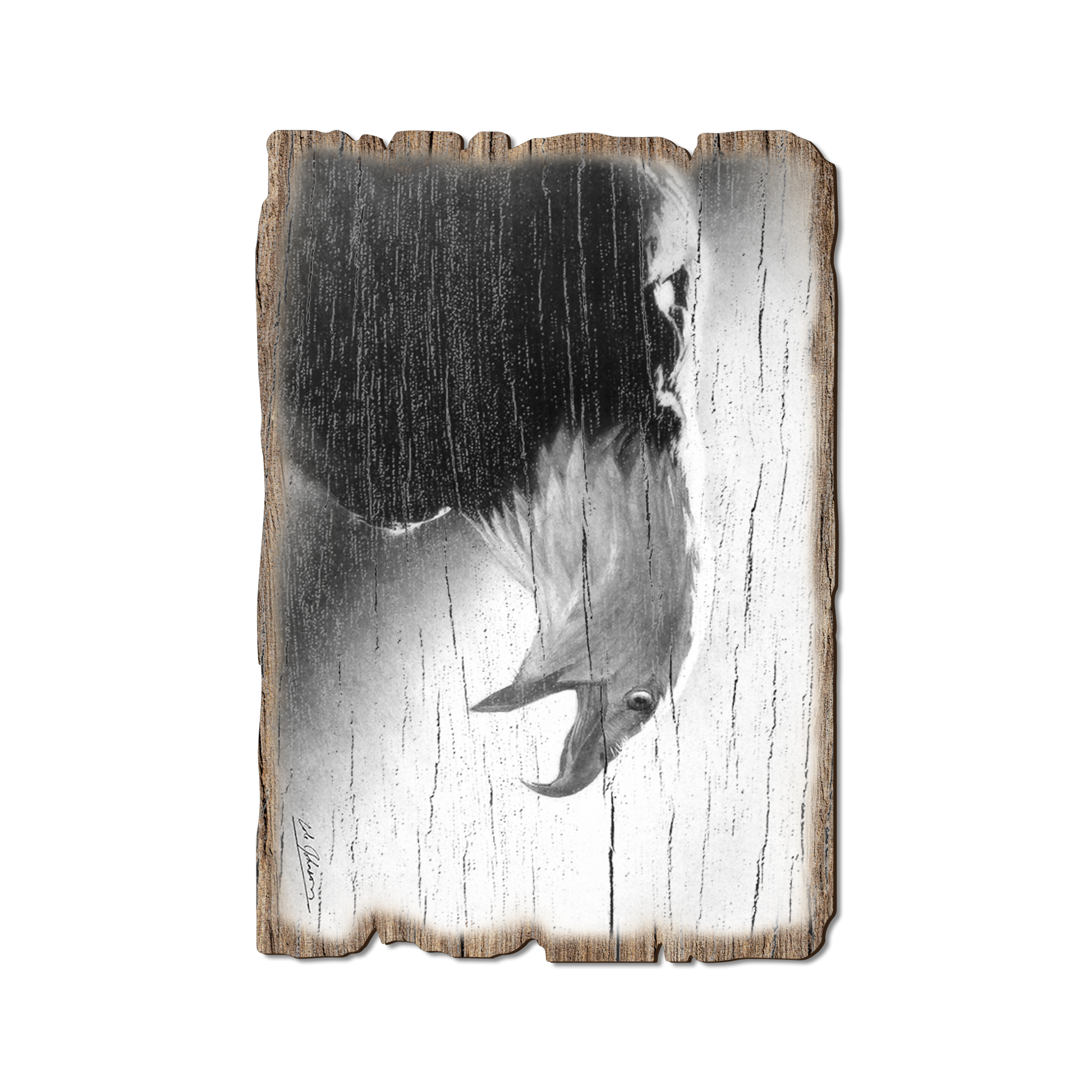 Ornament: Weathered Edge - Johnson's Screaming Eagle
