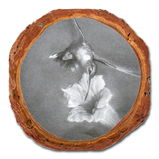 Coaster: Live Edge - Johnson's Vintage Hummingbird (Pack of 5)