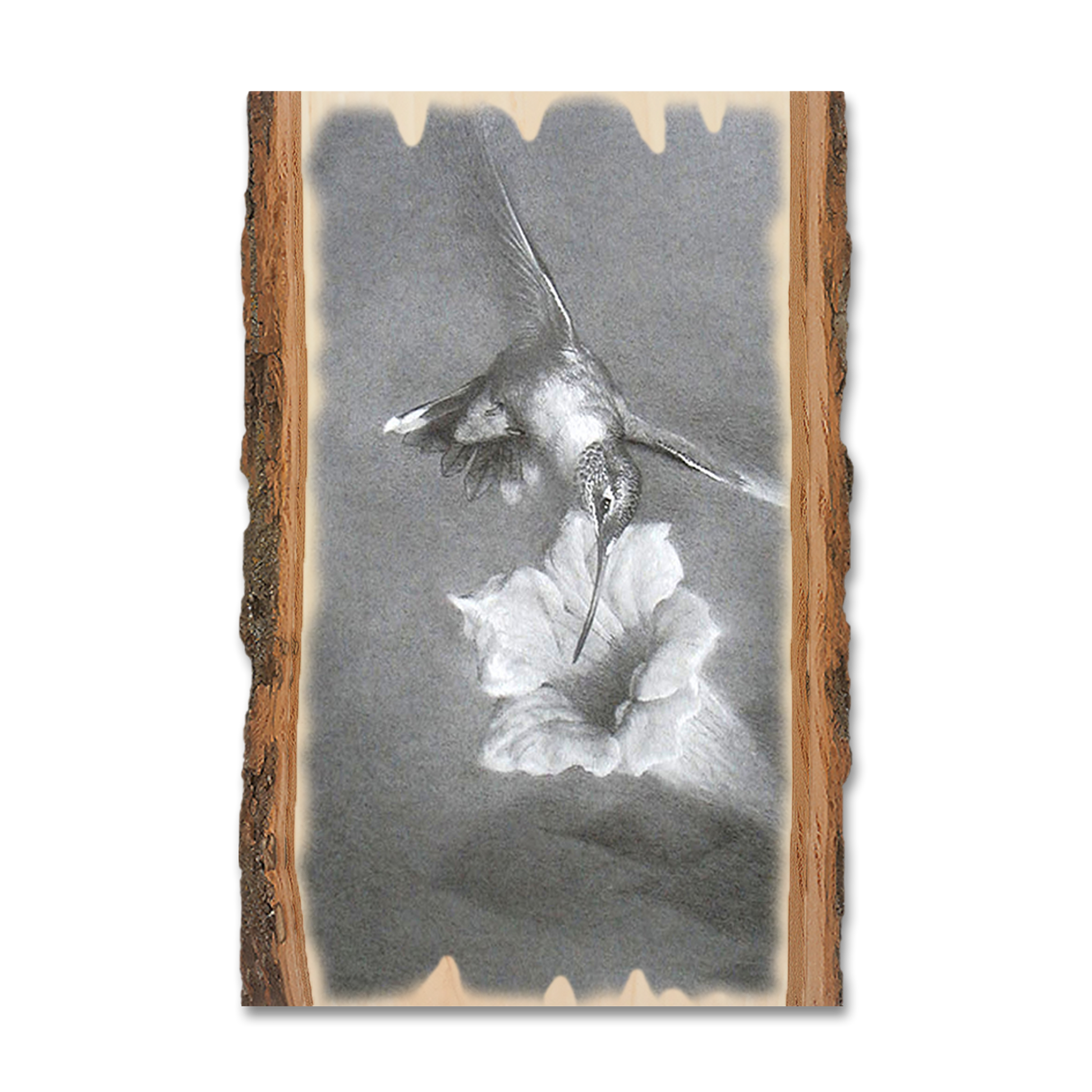 Greeting Card: Live Edge - Johnson's Vintage Hummingbird