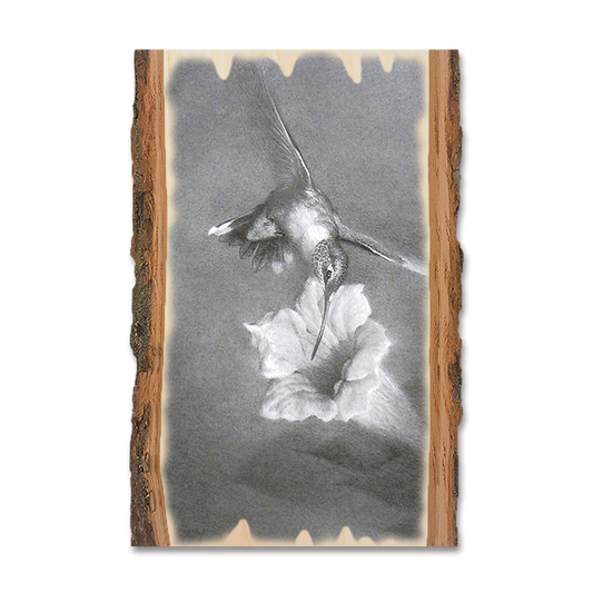 Magnet: Live Edge - Johnson's Vintage Hummingbird