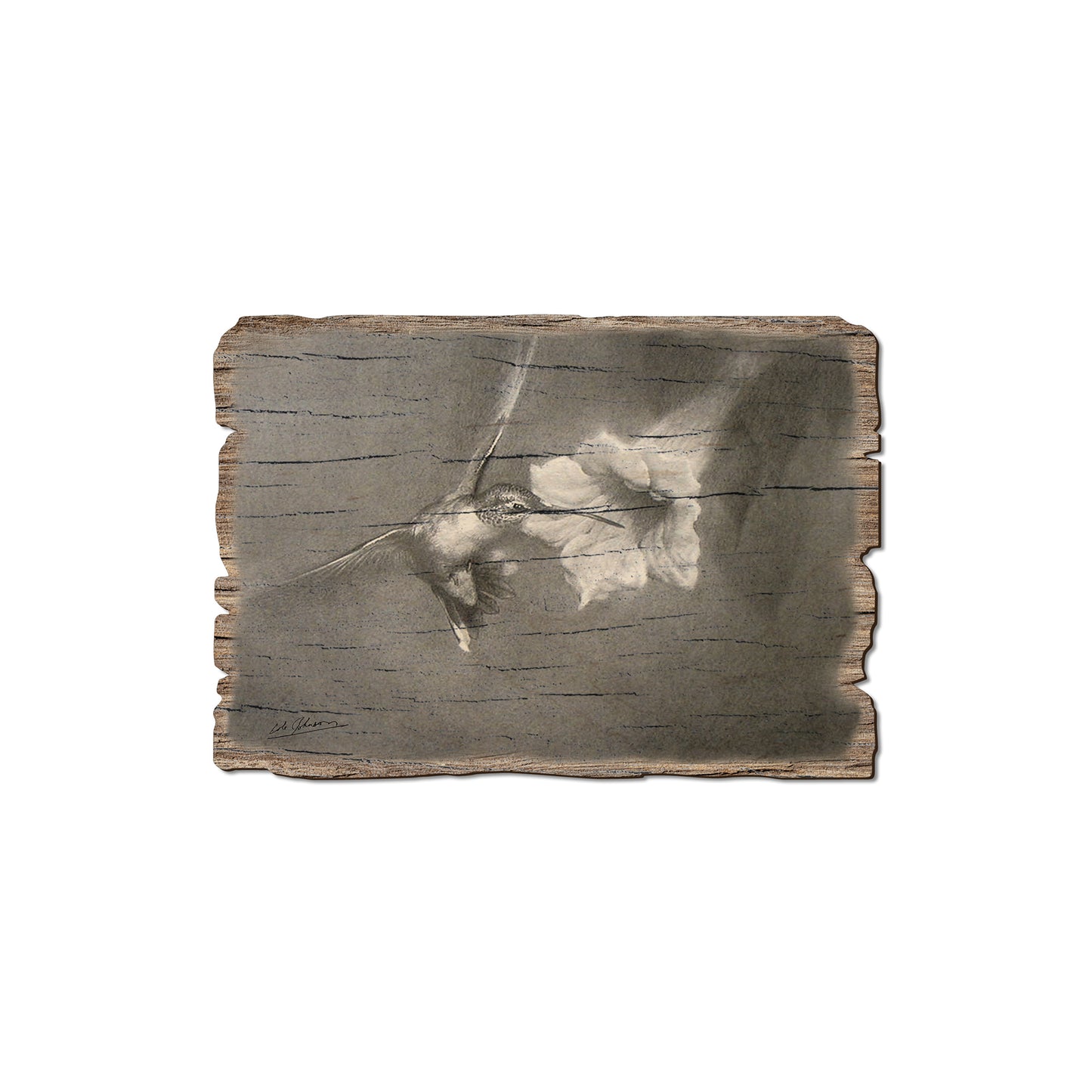 Johnson's Vintage Hummingbird - Rustic Edge Postcards & Magnets Rustic Edge Magnet (5pk // $2.80ea)