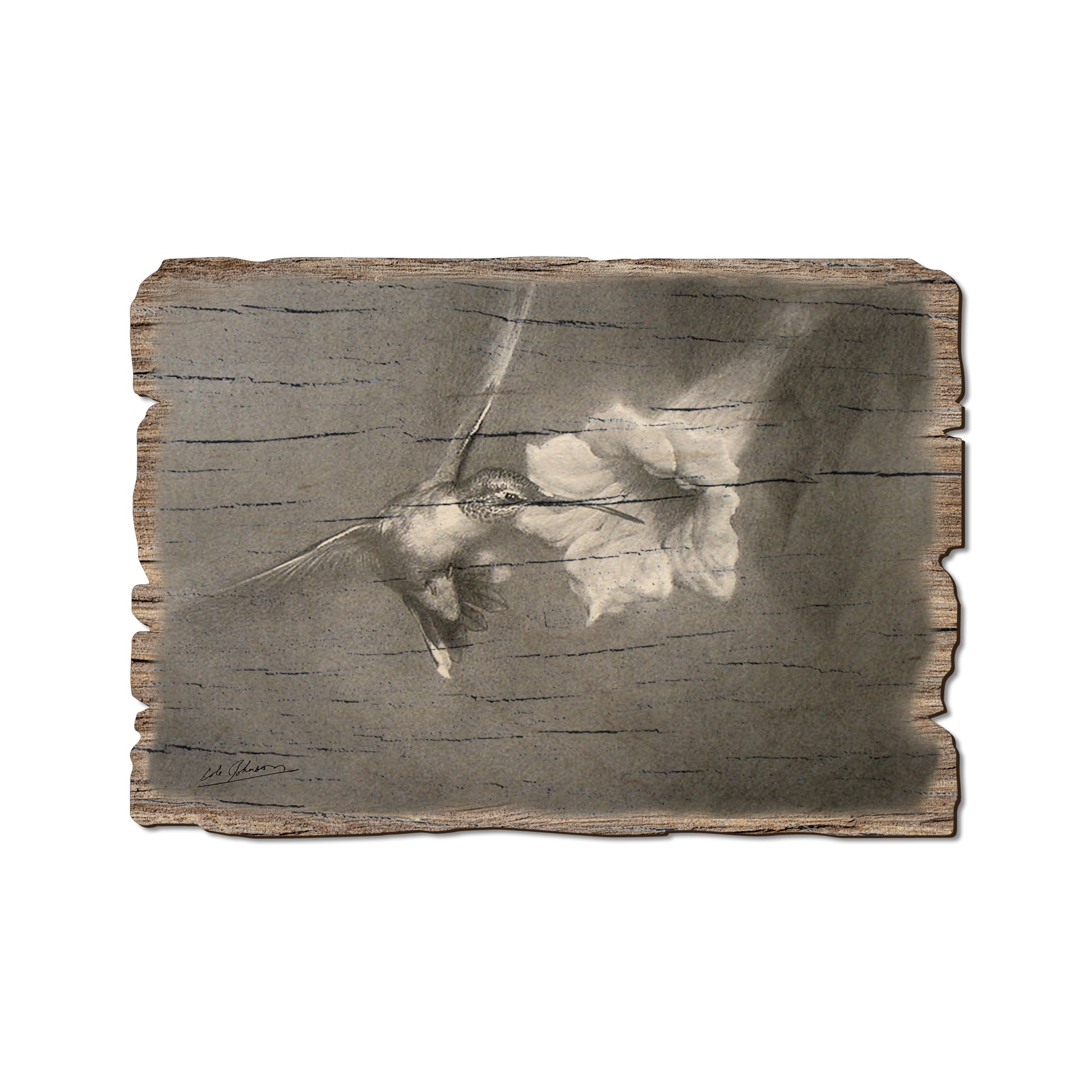 Johnson's Vintage Hummingbird - Rustic Edge Postcards & Magnets Rustic Edge Postcard (5pk // $2.80ea)
