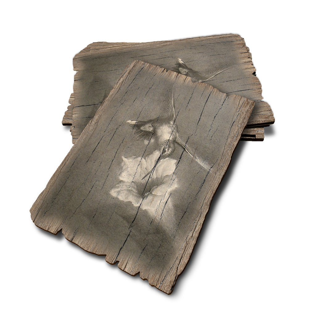 Johnson's Vintage Hummingbird - Weathered Edge Rustic Edge Postcard (5pk // $2.80ea)